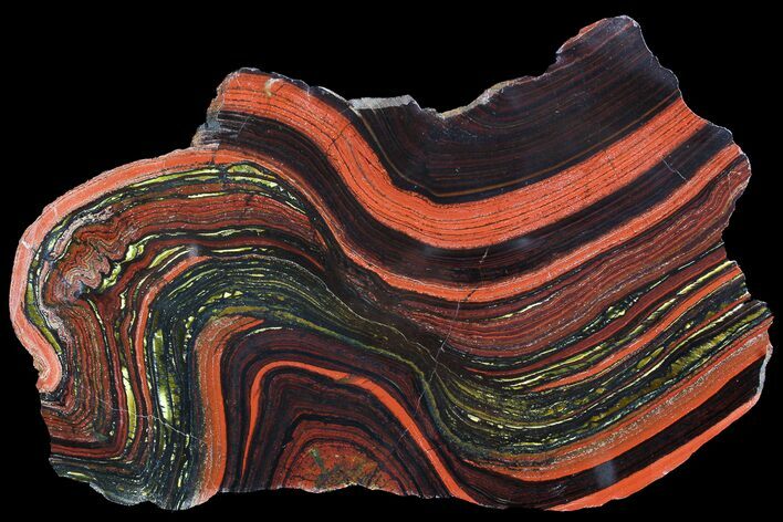 Polished Tiger Iron Stromatolite - ( Billion Years) #92977